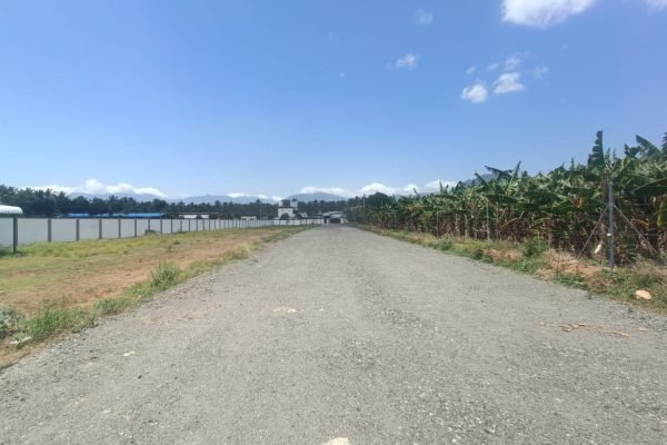 WhatsApp Image 2024-10-15 at 12.07.04 PM