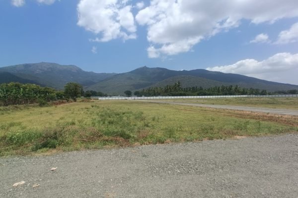 WhatsApp Image 2024-10-15 at 12.07.05 PM (1)