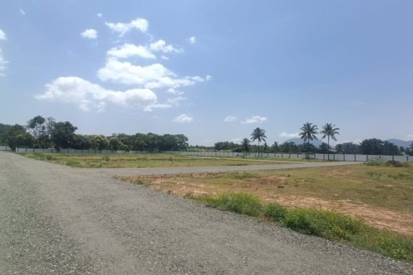 WhatsApp Image 2024-10-15 at 12.07.06 PM (1)