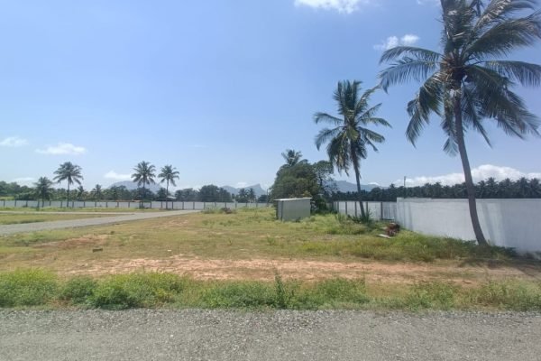 WhatsApp Image 2024-10-15 at 12.07.06 PM