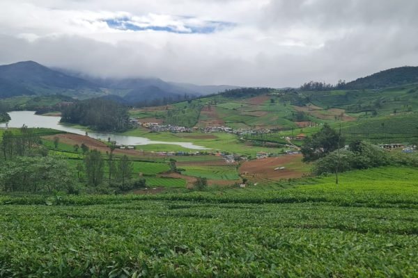 WhatsApp Image 2024-12-21 at 4.24.50 PM (1)