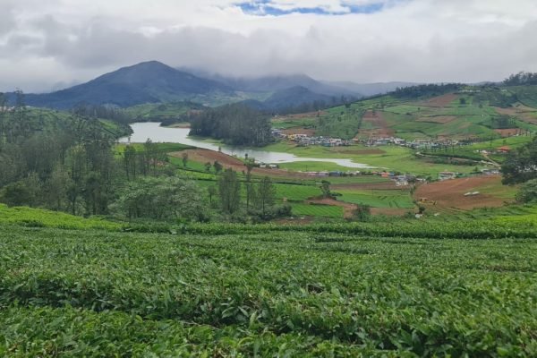 WhatsApp Image 2024-12-21 at 4.24.50 PM