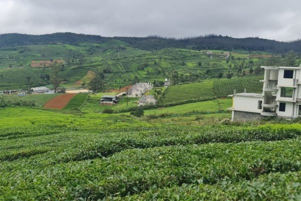 WhatsApp Image 2024-12-21 at 4.24.51 PM